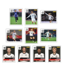 Panini DFB 125 Years 3.PNG